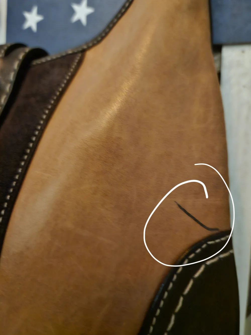 Vintage Coach 